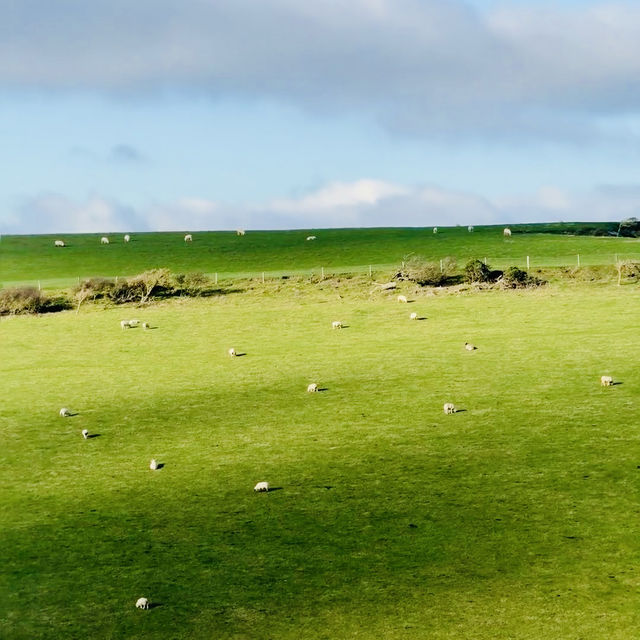 Seven Sisters National Country Park