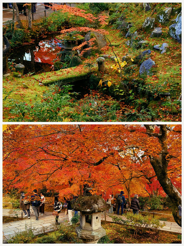 京都·常寂光寺「伏在山坡的美人」體驗和服之美