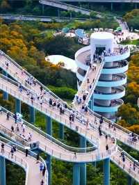 高山水庫變成了湖·高空步道美景盡收