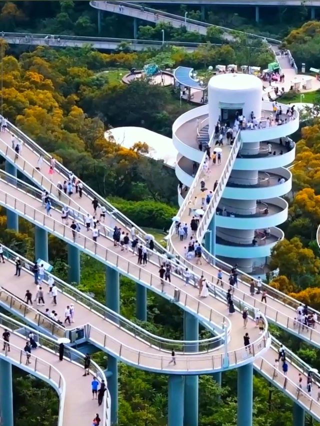 高山水庫變成了湖·高空步道美景盡收