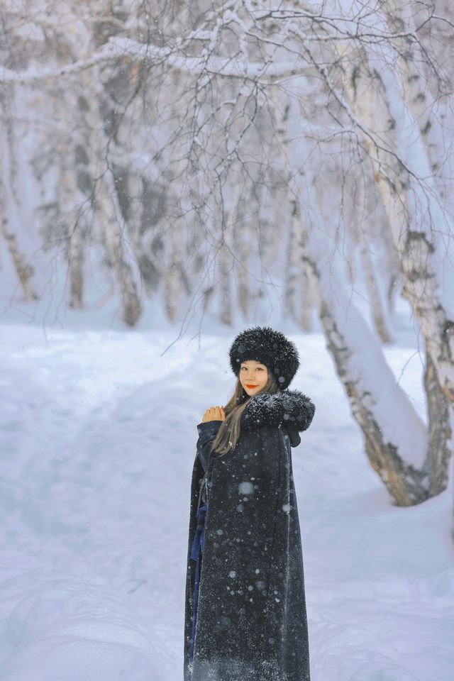 新疆禾木｜落雪成詩，芳華盡收