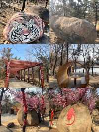 冬天來臨沂，千萬別錯過龜蒙景區