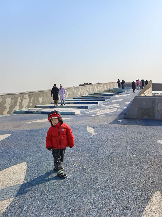 自駕天津東疆親海公園，帶娃看海鷗