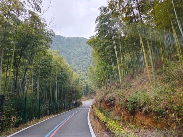 綠水青山就是金山銀山~~餘村