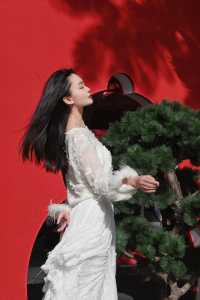 不愧是深圳 | 中式新年庭院也太美了