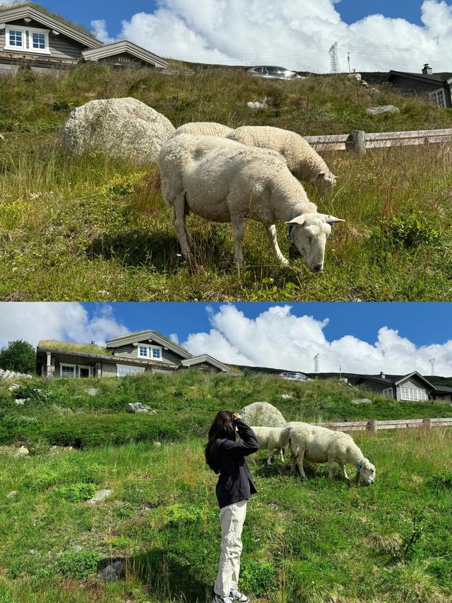 旅行｜挪威的夏天和冬天完全不一樣的美