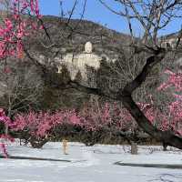 🌨️ A Winter Wonderland at Mengshan Buddha 🏔️