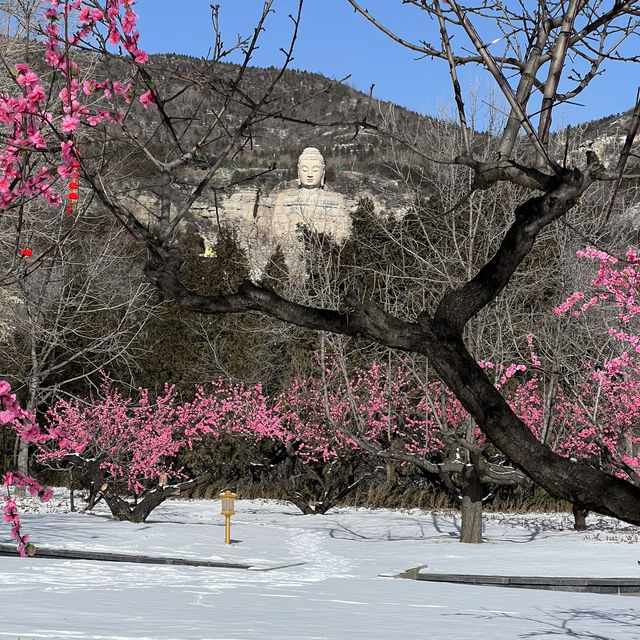 🌨️ A Winter Wonderland at Mengshan Buddha 🏔️