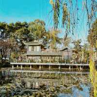"你知道百花潭公園的這些隱藏景點嗎？來一趟絕對不後悔！"
