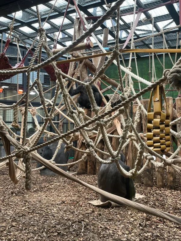 Visit London Zoo in Winter for a Unique Experience
