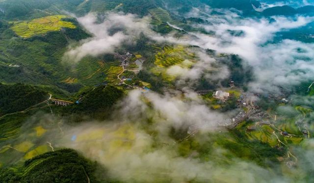 山水秘境——昌松之家巡禮之貴州松桃基地