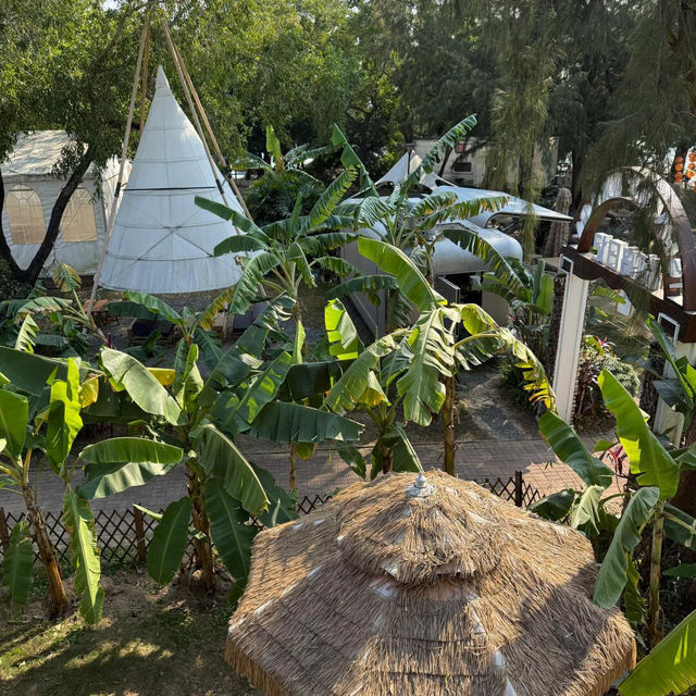 🌴不是版纳，深圳竟藏著這般熱帶雨林度假民宿！
