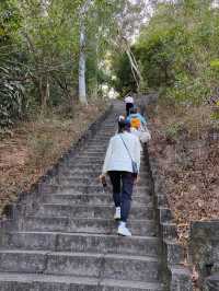 深圳南山公園看日落 心得體會