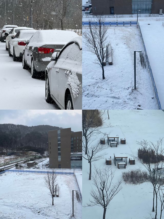 大田：韓韻交織的活力之都