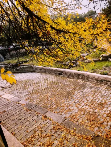 北京玉河庵，挨着南鑼鼓巷、什剎海的小眾免費景點