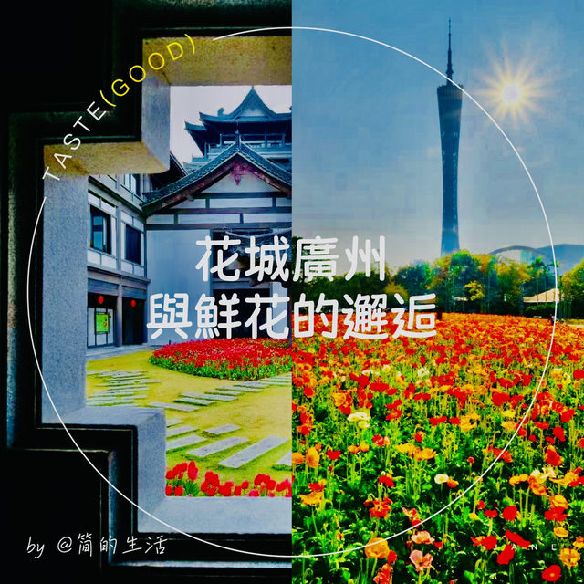 冬季花城廣州與鮮花的邂逅 