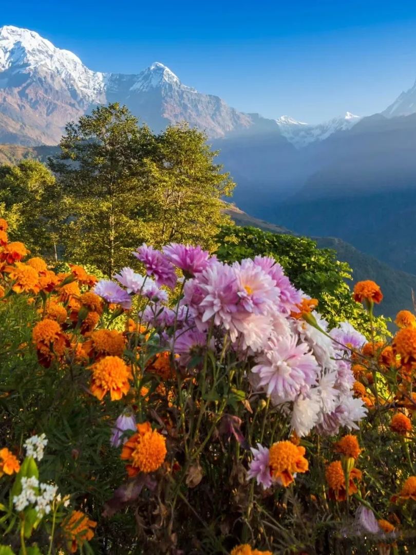 Một hướng dẫn siêu chi tiết về Nepal trong 8 ngày, tôi muốn đi lại sau khi đã đến đó