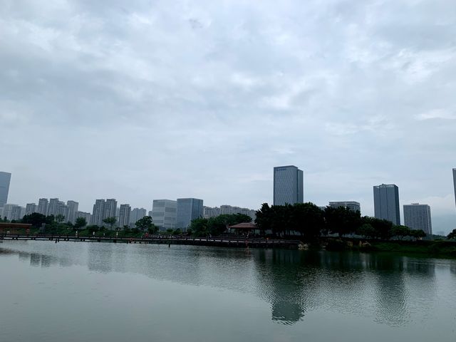 步入花海