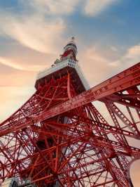 在日本住了8天不想退房