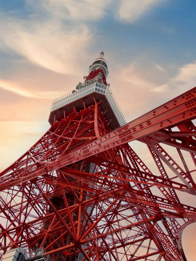 在日本住了8天不想退房