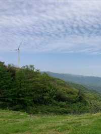宜昌百里荒高山草原風景區