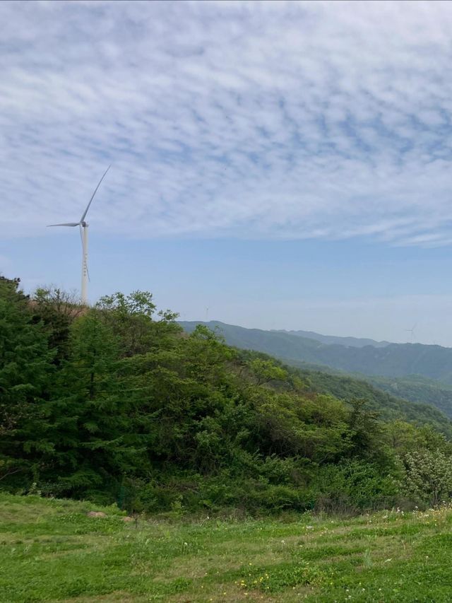 宜昌百里荒高山草原風景區