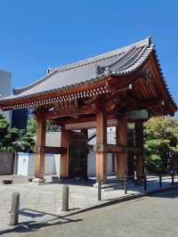 福岡市區必遊：一日深度探索行程