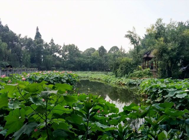 2 Brilliant Days in Magnificent Chengdu: Discovering Sichuan Culture