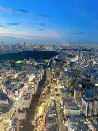 東京行程大揭秘：大石公園、東京塔、迪士尼與澀谷的完美邂逅！