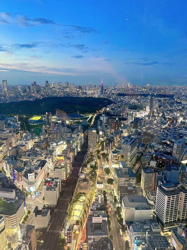 東京行程大揭秘：大石公園、東京塔、迪士尼與澀谷的完美邂逅！
