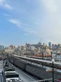 10天暢遊哈爾濱-漠河北極村 玩轉冰雪奇緣