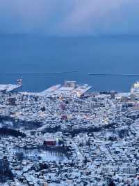 日本6日長者遊 悠閒行程全攻略