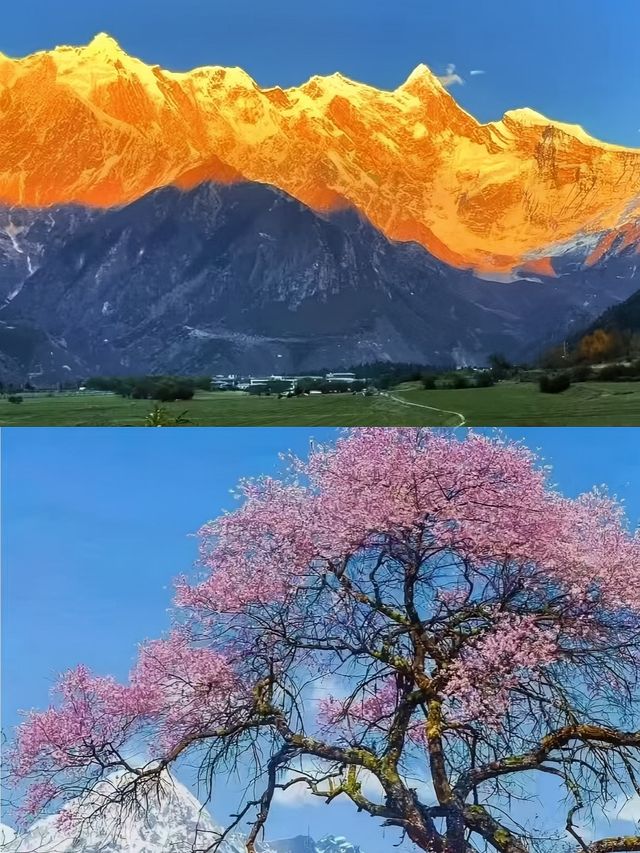 3月的林芝，真的是人間理想。