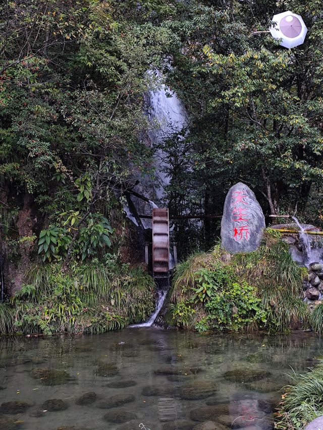 清明踏春好去處 長江三峽－三峽大壩的森林秘境等你探索