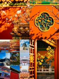 故宮打卡攻略｜穿越時空的絕美之旅，不去後悔一輩子！