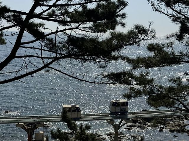蔚珍郡空中列車：遨遊蔚藍海岸，盡享夢幻海景之旅！