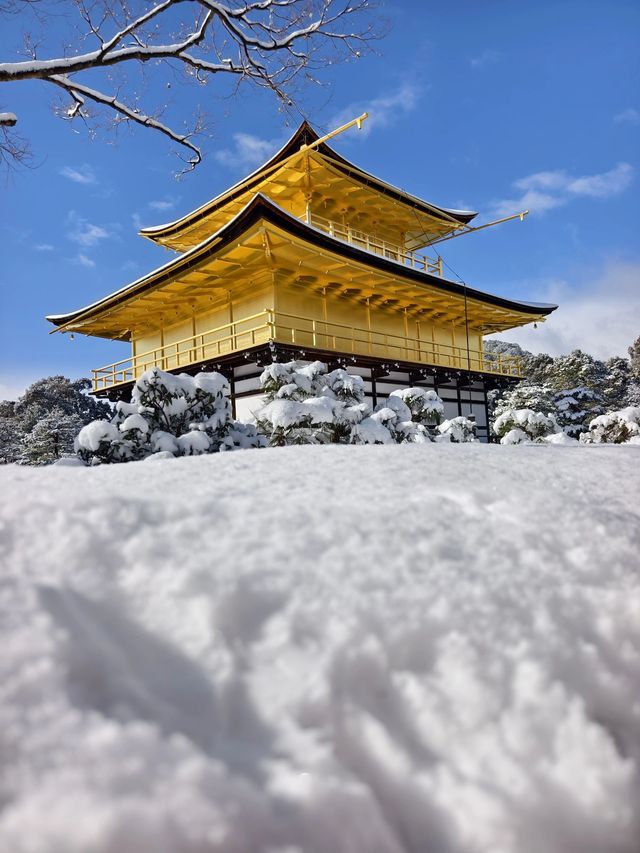 日本6天遊 超詳細攻略必打卡景點