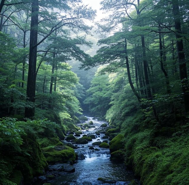 熊野古道：尾鷲市的古韻探秘之旅攻略