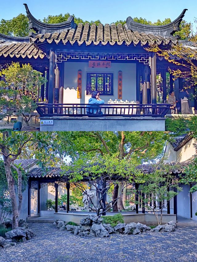 蘇州嚴家花園丨隱藏在古鎮裡的江南園林