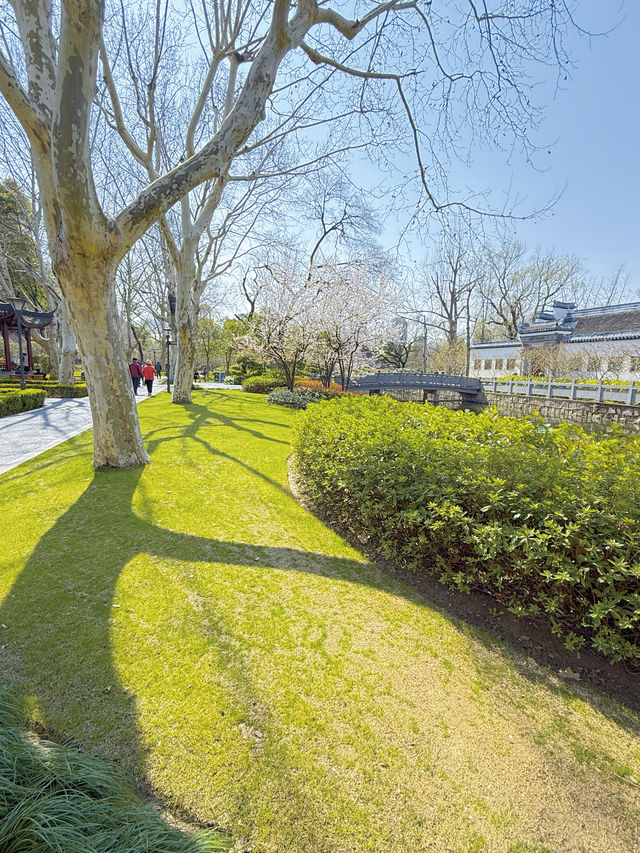盤點上海十大美景鬱金香公園之｜閘北公園
