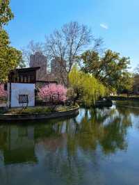 盤點上海十大美景鬱金香公園之｜閘北公園