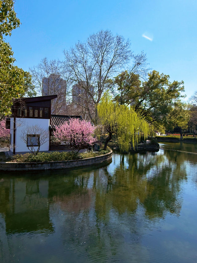 盤點上海十大美景鬱金香公園之｜閘北公園