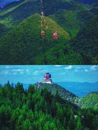 梅花山給你一個19℃的夏天你會來嗎