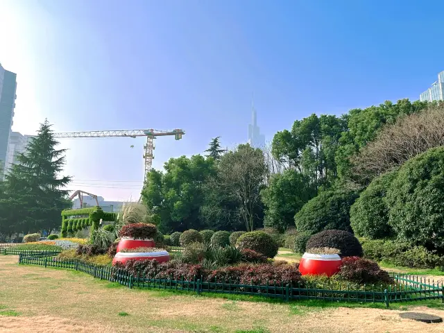 난징 봄 한정 쑤안우후 벚꽃놀이 완벽 가이드!