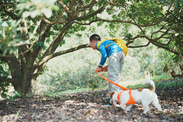 路遙知「虎」力，「捷」伴來 Hiking