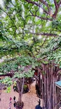 夏威夷旅行日記 8：威基基國際市場購物中心完全攻略