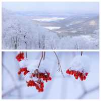 長白山親子遊｜入住童話雪屋