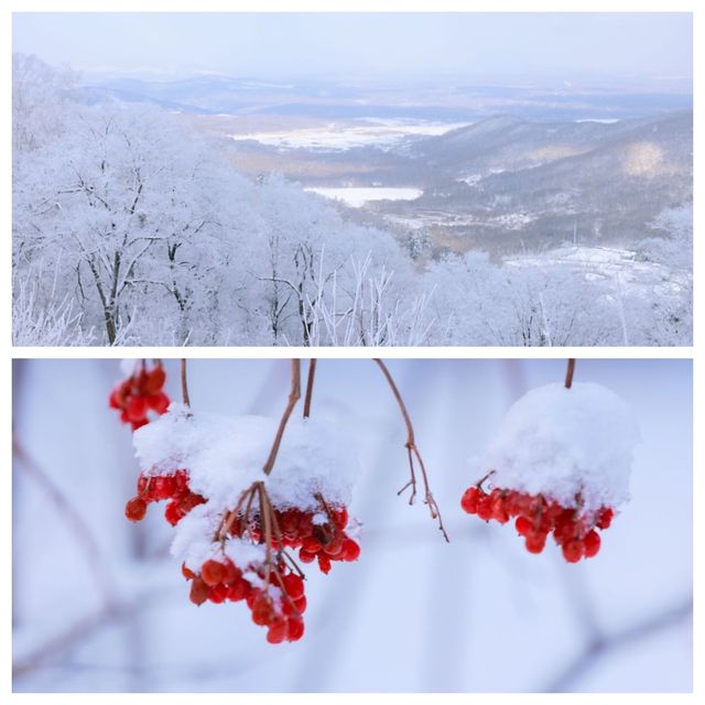 長白山親子遊｜入住童話雪屋