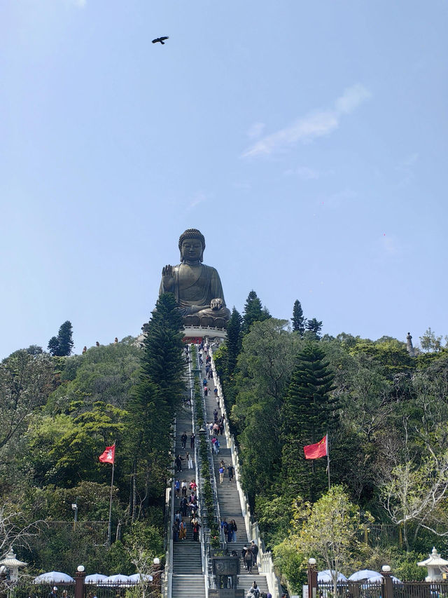 香港｜大嶼山天壇大佛大澳漁村一日遊攻略