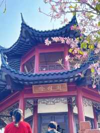 深圳玉龍公園：都市中的靜謐桃源